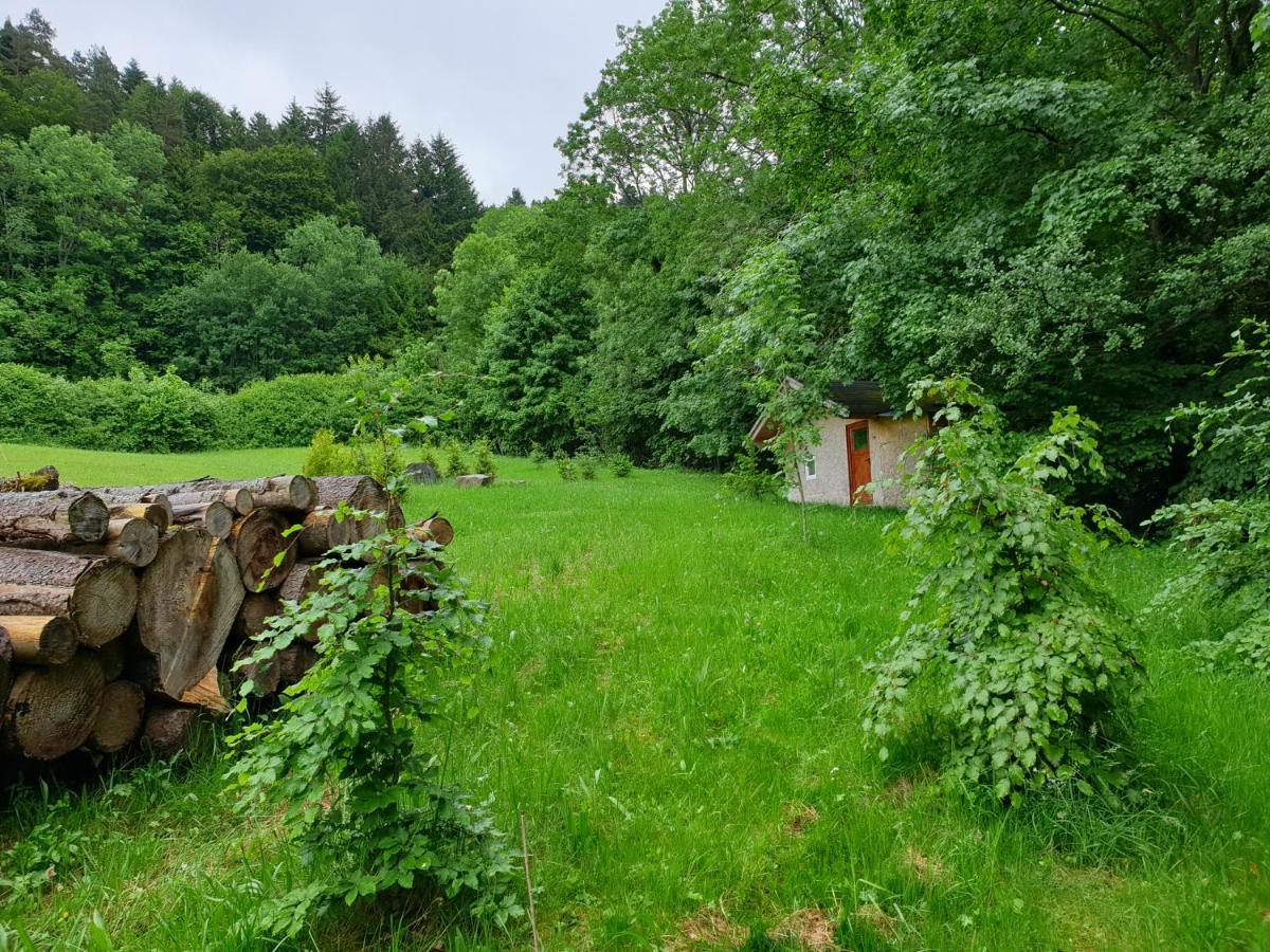 Ferienwohnung Burgblick Schramberg Exterior foto